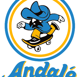 Andale Skateboard Bearings