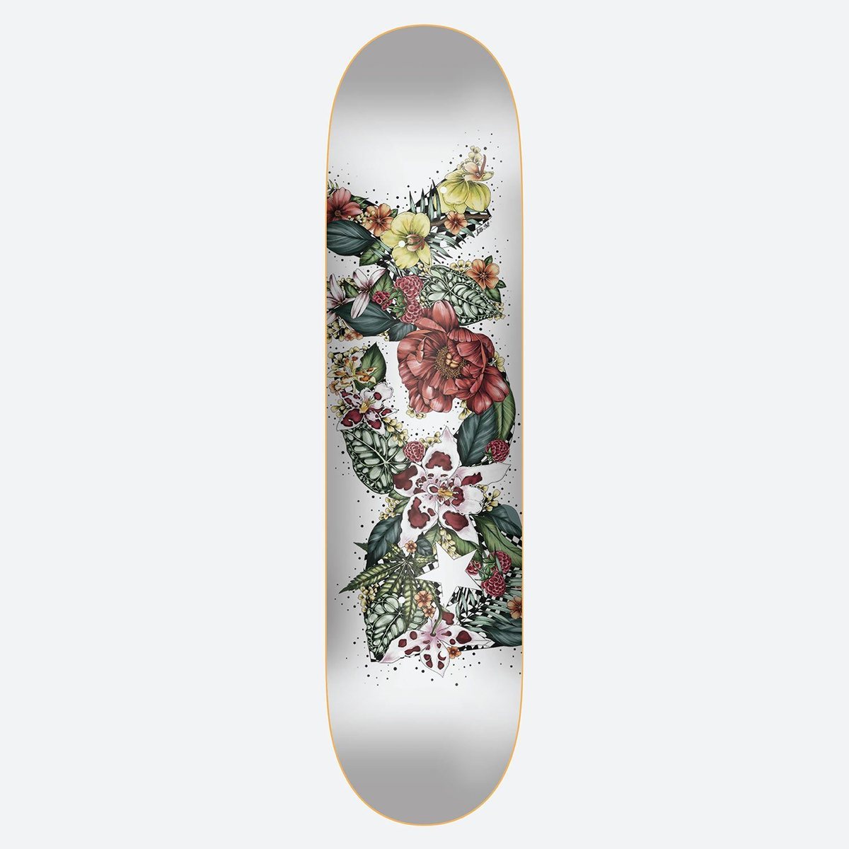 Dgk - Skateboard - Deck - Meadow 7.8" (Multi) Deck