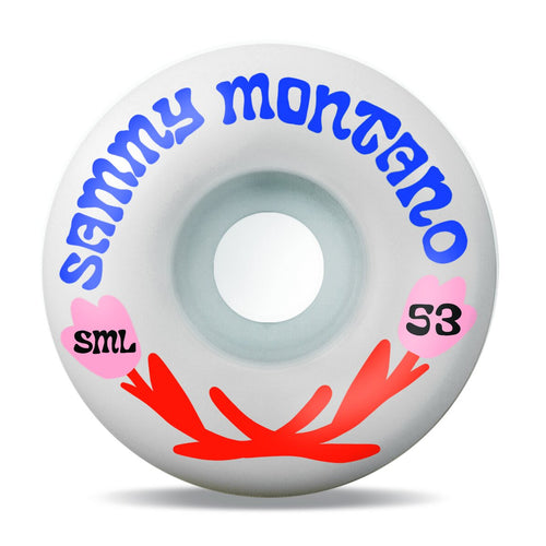 Load image into Gallery viewer, Sml - Skateboard - Wheels - The Love Series- Sammy Montano 53mm (Multi) Wheels
