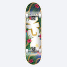 Dgk - Skateboard - Complete skateboards - Vacation  8" (Multi) Complete Board